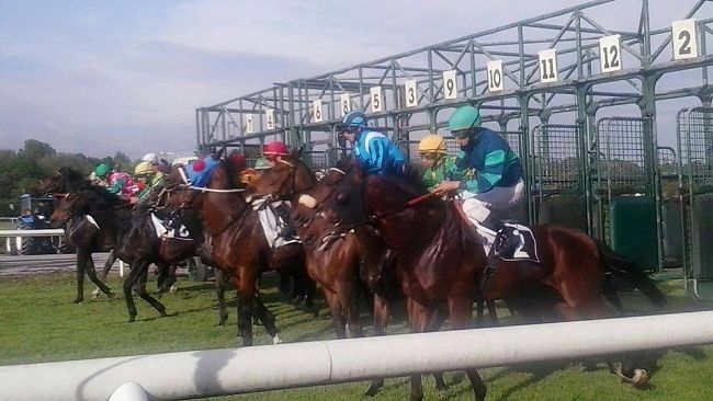 ippica-riforma-storica-entra-nel-ministero-dello-sport