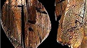 Social media: opportunità e pericoli della vita social