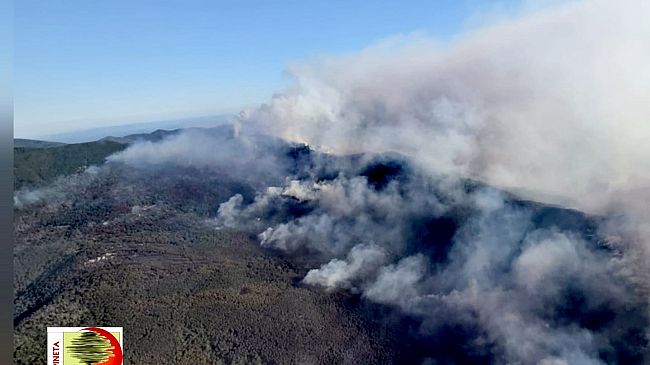 Incendio boschivo tra Lucca e Pisa, notte di lavoro 