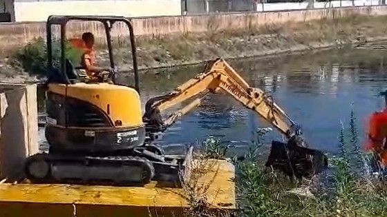 Viareggio e Camaiore: alghe infestanti nella Fossa dell'Abate