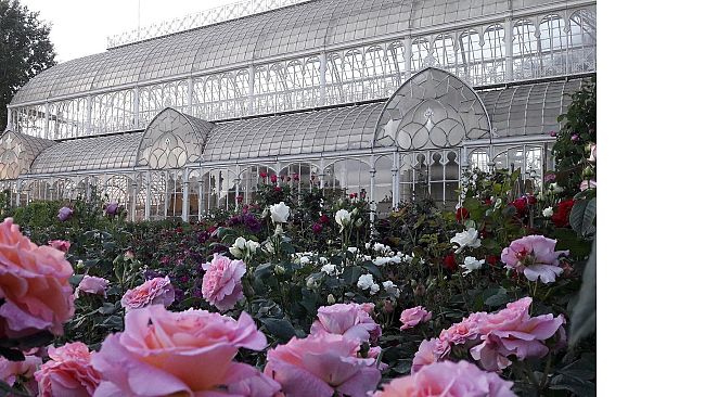mostra-mercato-di-piante-e-fiori