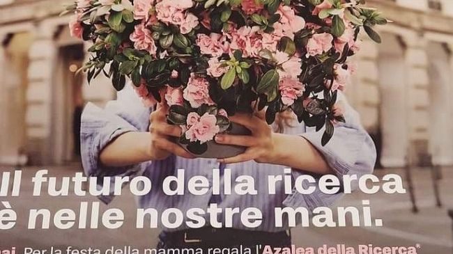 L’Azalea della Ricerca festeggia il 40° compleanno
