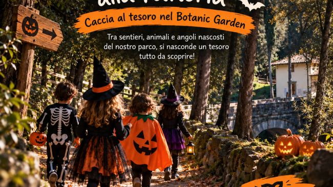 ​Autunno nel piatto: eventi enogastronomici da non perdere