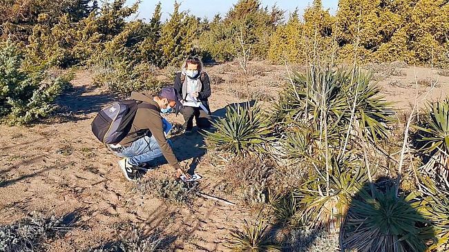 Pianta aliena minaccia l'ecosistema del Mediterraneo