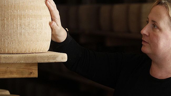 In Maremma il miglior pecorino stagionato e la migliore ricotta d’Italia