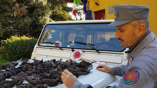 Caccia: controlli dei Carabinieri Forestali e multe in tutta la provincia di Firenze