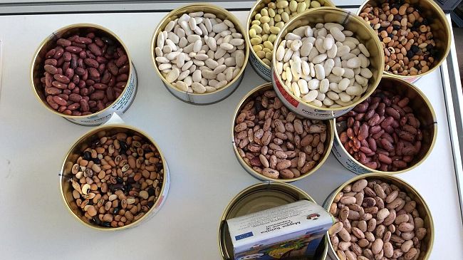 Slow Beans e il successo del progetto toscano a Terra Madre Salone del Gusto