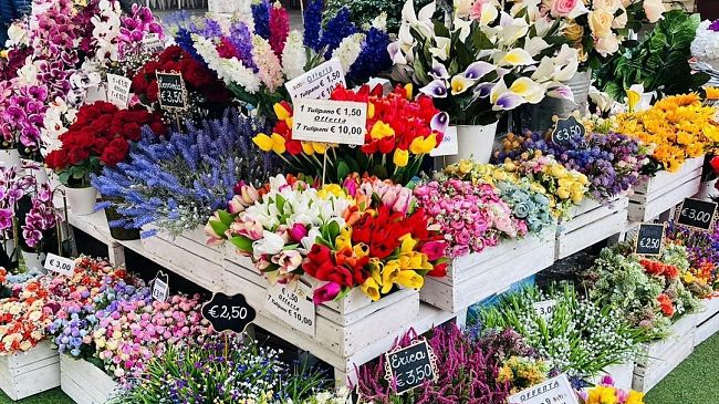 fiera-del-fiore-di-foiano-della-chiana-una-marea-di-gente