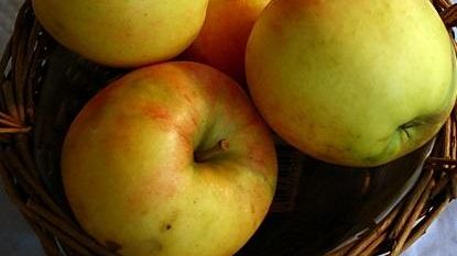 Pensionati rubano le mele da un campo, arrestati a Scandicci