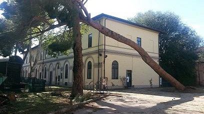 Tempesta a Firenze: iniziata la conta dei danni