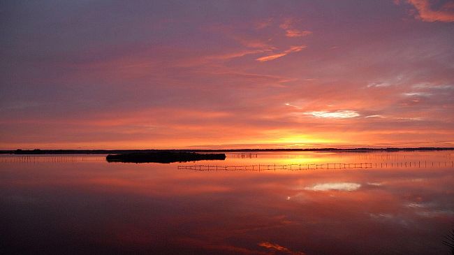 BioBlitz: venerdì alle Cascine e Vallombrosa tutti possono diventare 'esploratori naturalisti'