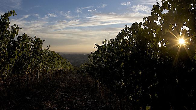 La seconda edizione de L’Altra Toscana