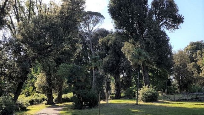 Gestione del clima, Firenze premiata con l'oro