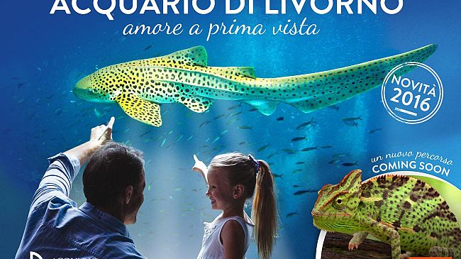 Acquario di Livorno: dal 27 Aprile apre al pubblico