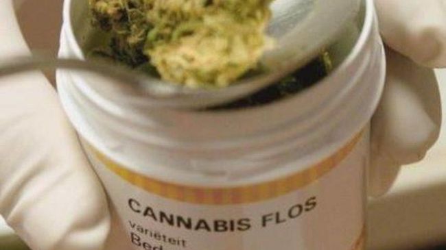 Cannabinoidi, in Toscana accesso facile ai farmaci