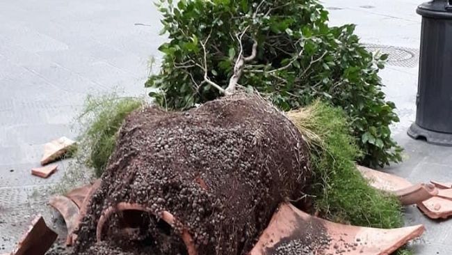 Fioriere distrutte in via Tornabuoni 