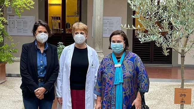 S. M. Nuova, nel Chiostro delle Medicherie l'olivo donato da Avo