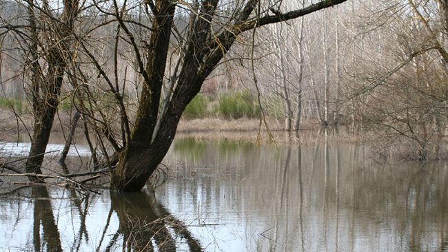 Lago di Calcione: ordinata la rimozione delle barche abbandonate