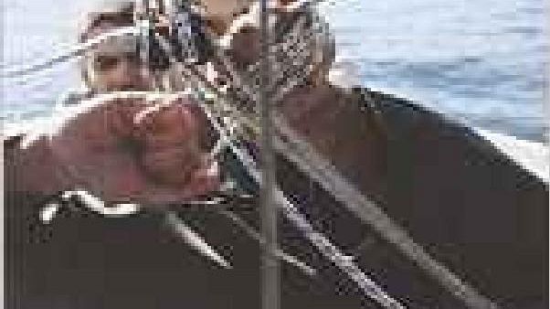 E tu slegalo subito: un libro di Giovanna del Giudice