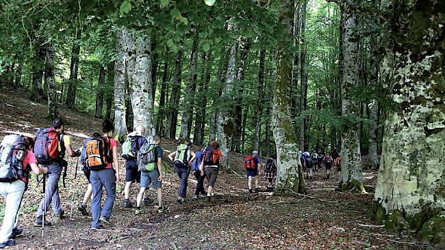 Ecco l'app per fare trekking informati in Toscana