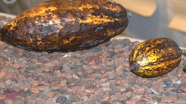 San Valentino: il brindisi per gli innamorati è sulla Torre di Arnolfo