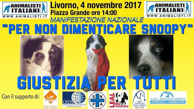 Giustizia per Snoopy, mobilitazione animalisti a Livorno