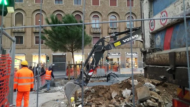 Salvate il Pino, nel cantiere Tramvia: l'appello di Miriam Amato