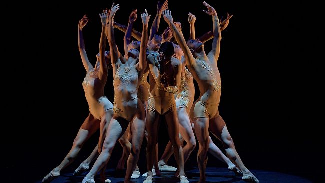 Mercoledì 14 novembre al Teatro Puccini debutta