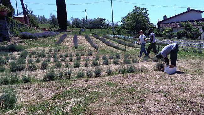 Agricoltura sociale: dalla Regione € 11 mila per un progetto rivolto a profughi e disabili