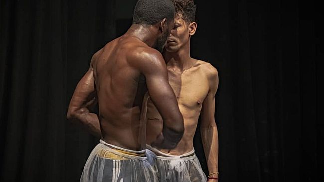 Transferencia e l'universo transgender