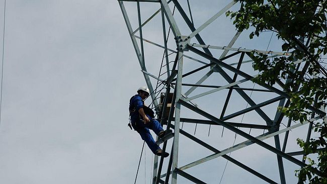 Terna. Primi gheppi nei nidi di Focognano, installata una webcam