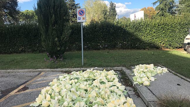 Occupava uno spazio invalidi per essiccare cavolfiori