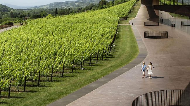 Architetto in cantina: vino, design, territorio e turismo