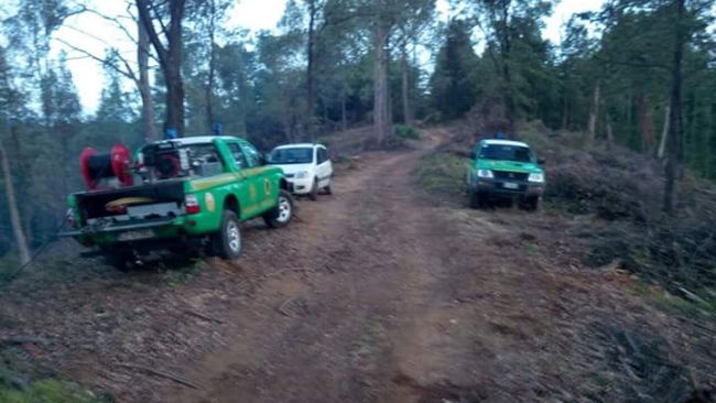 ​Incendio vicino alla centrale elettrica di Monterotondo Marittimo