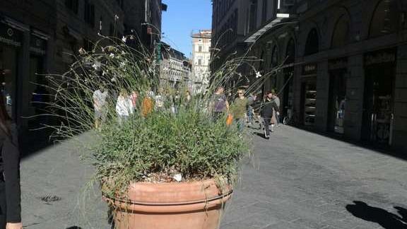 Coronavirus, Confesercenti Toscana: 