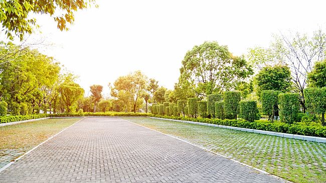 Verso la depavimentazione dei parcheggi asfaltati