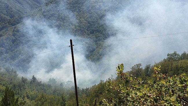Incendi oggi in Toscana, elicotteri in azione
