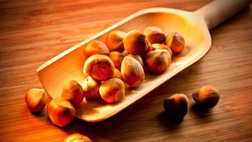 Le nocciole Ferrero saranno coltivate in Toscana