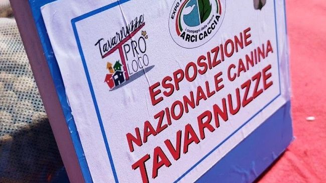 Tavarnuzze celebra gli amici dell’uomo con la 18^ Esposizione canina