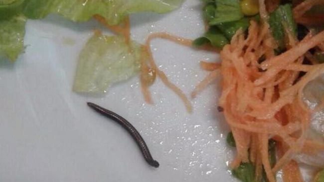 Insalata con il verme: rivolta dei genitori in una mensa di Firenze