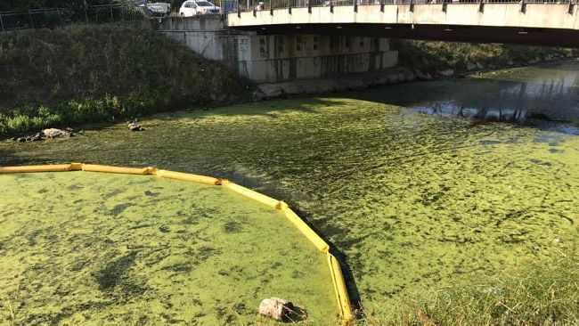 Caldo: da domani a lunedì allerta gialla