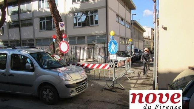 Firenze Le Cure, il pino blocca la strada: 'Può provocare una strage'