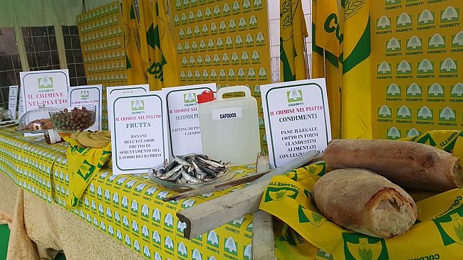 Mafia nel piatto: in Toscana la malavita si interessa al settore agroalimentare