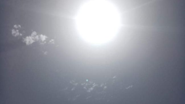 Estate 2024: picco del caldo tra domenica e martedì 