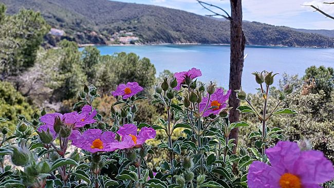 Pasqua 2026: in viaggio per una Toscana inattesa