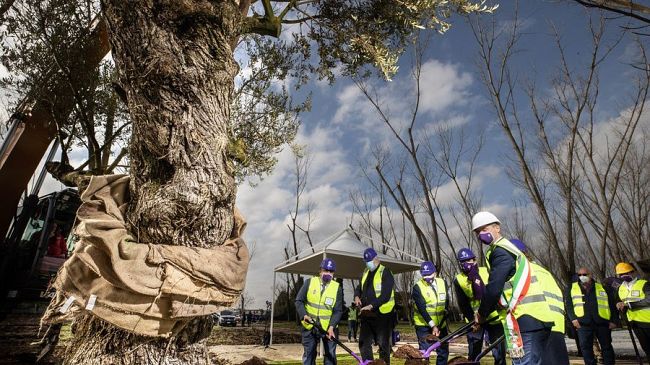 Viola Park: Coni, Figc e Lega Serie A stanno con la Fiorentina