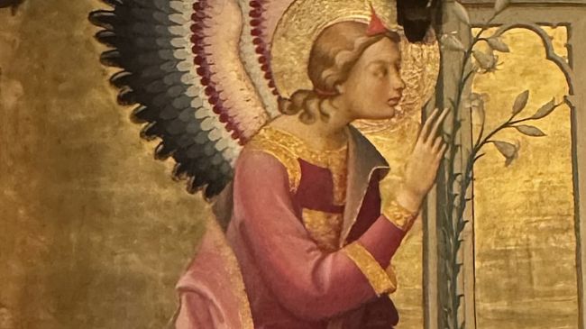 Santa Croce: Mattarella ammira Le storie di San Francesco di Giotto