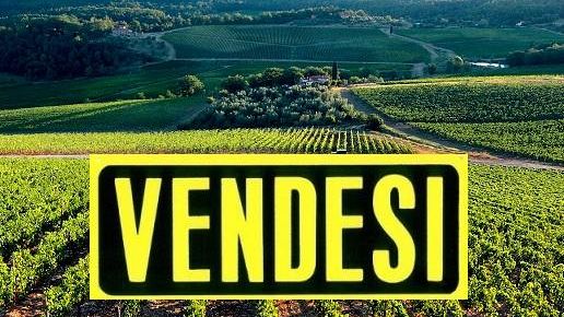 Toscana Vendesi: immobili inutilizzati al migliore offerente