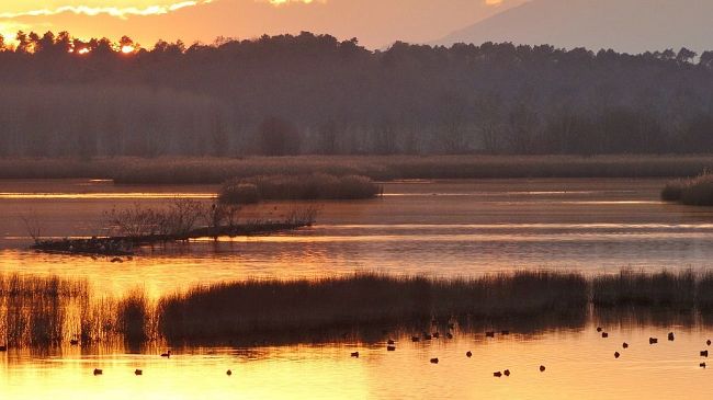 Padule di Fucecchio, suoni e colori del tramonto