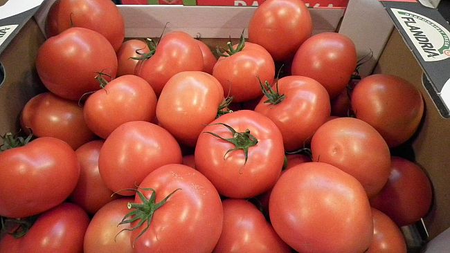 Il futuro dell'agricoltura toscana: la Politica Agricola Comunitaria